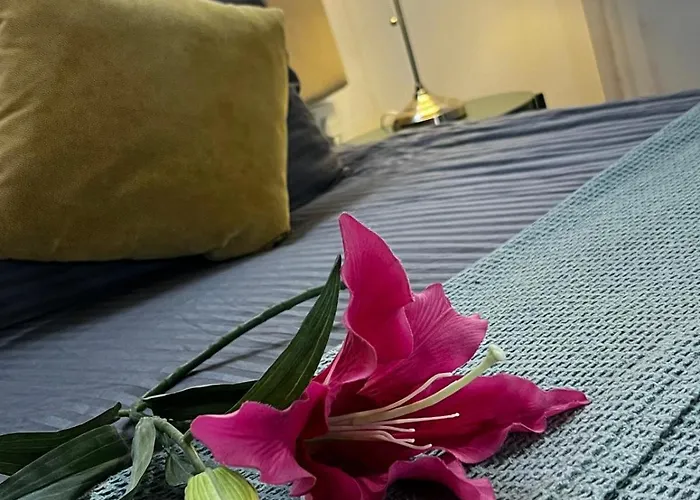 Tasev Guest house 4*