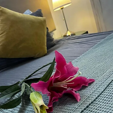Tasev Guest house 3*