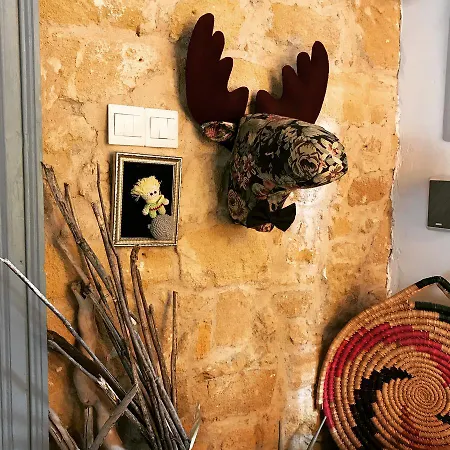 ゲストハウス Tasev