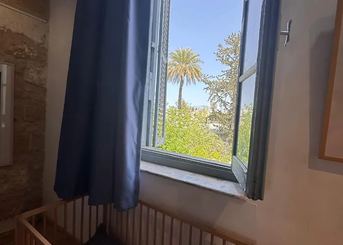 Tasev Никосия